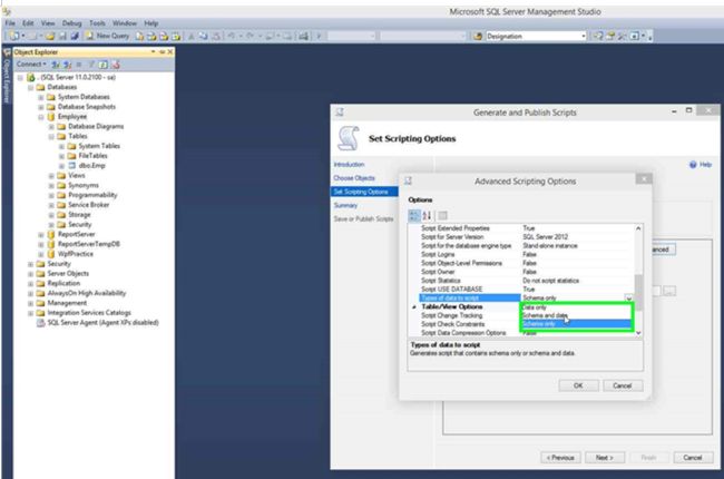 types of data to script